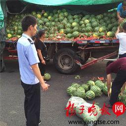 陇南网红吃瓜满床跑,揭秘网络红人的日常生活  第3张